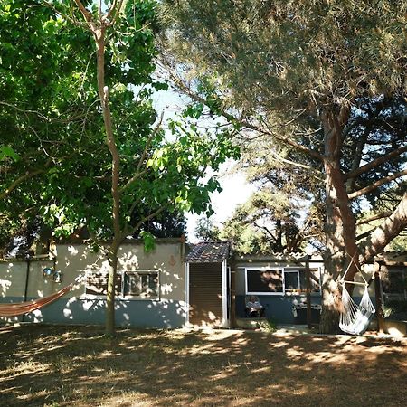Kalliopi Limnos Stone House 빌라 외부 사진